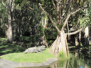 Australien Zoo-005